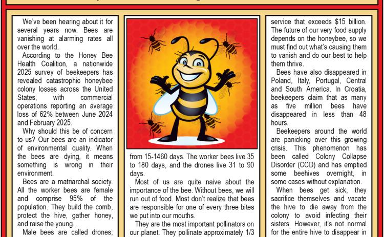 The Honeybee: a Dying Breed